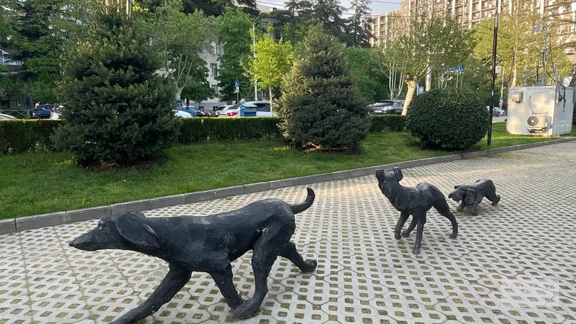 Памятник бродячим собакам Тбилиси