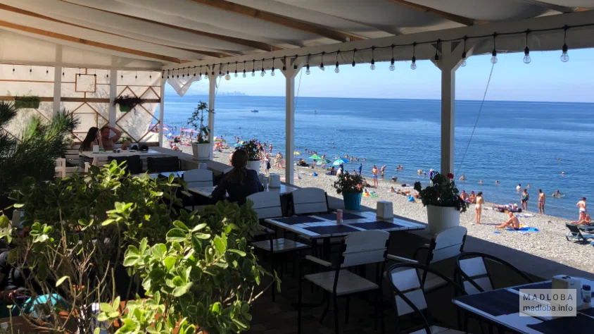 Cafe Papalo