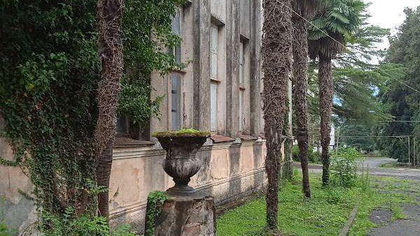 Парк Анасеули