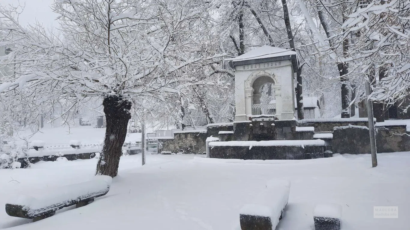 Зимний пейзаж в Парке белок