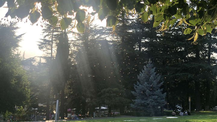 Nadikvari Park in Telavi