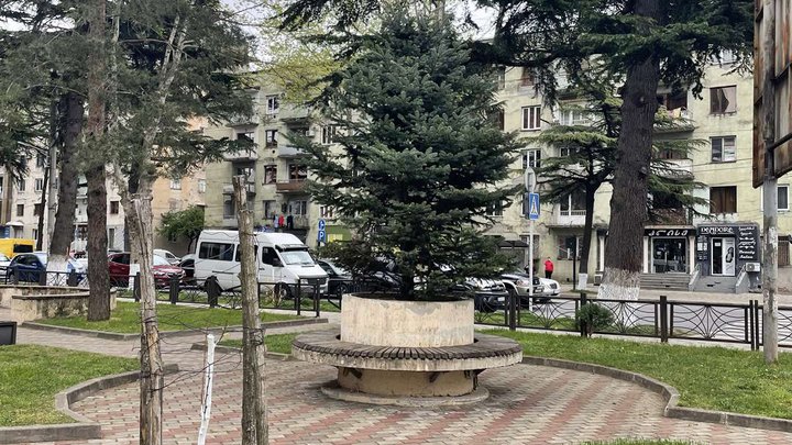 პარკი (ზვიად გამსახურდიას ქ.)