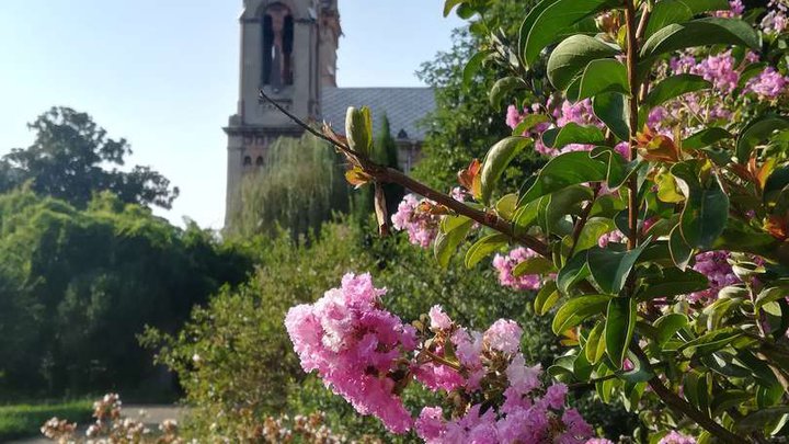 Cathedral Park