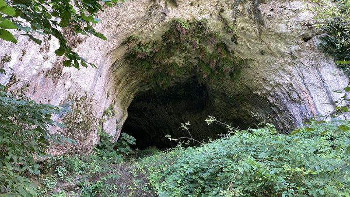 Dzudzuana Cave
