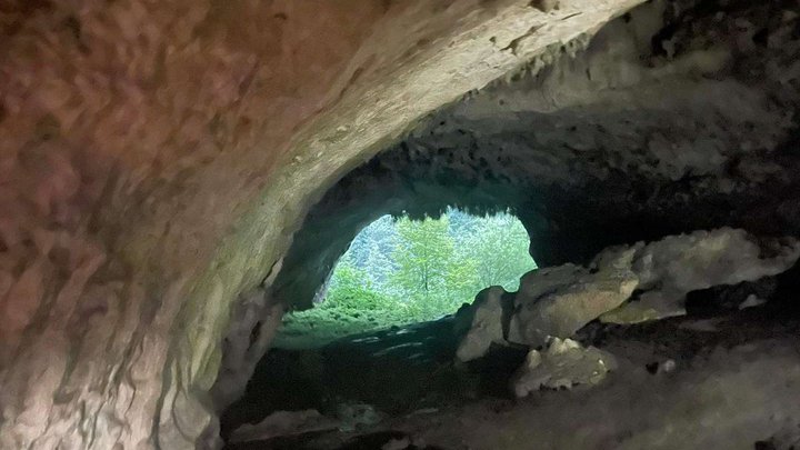 Dzudzuana Cave