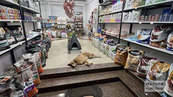 Зоомагазин "Pet Lovers" интерьер
