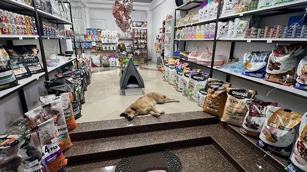 Zoo Store “Pet Lovers”