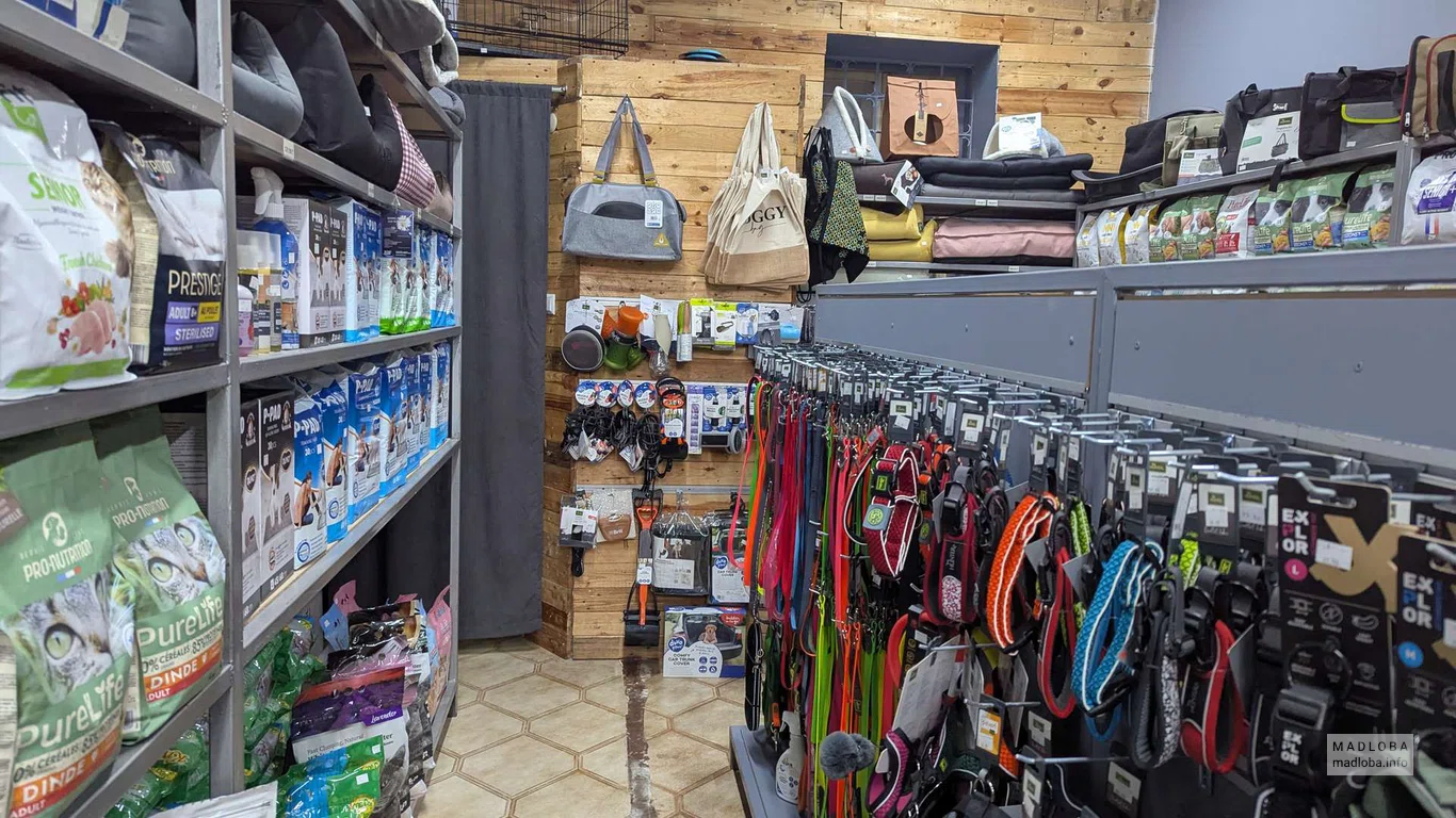 поводки, ошейники в зоомагазине Pet Spot в Батуми