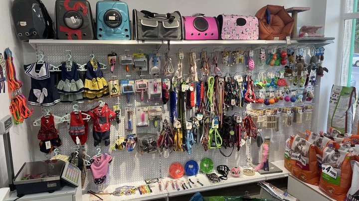 Pet Stop (Automshenebeli)