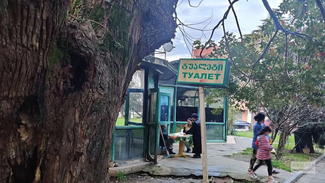 Paid toilet in the park near the Cathedral