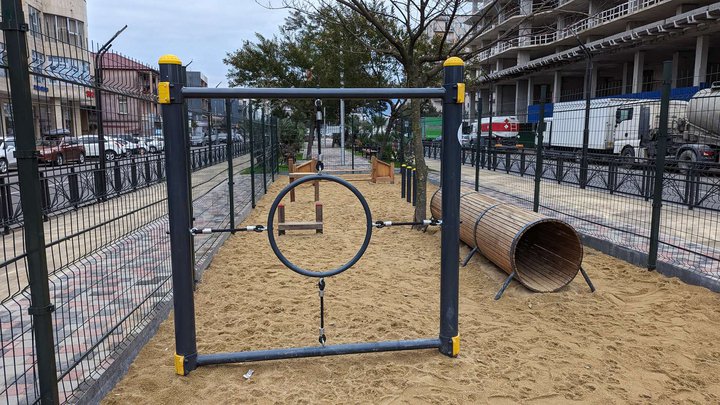 Dog area