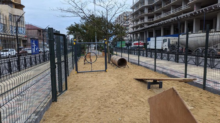 Dog area