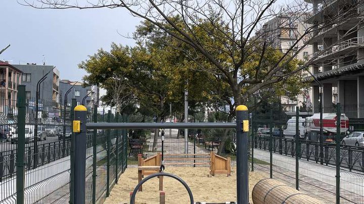 Dog area
