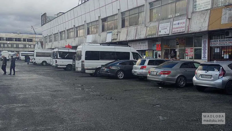 Прескале Батуми. Услуги по перевозке пассажиров / Preskale Batumi