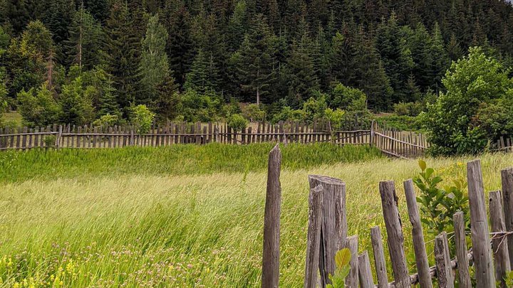Summer high mountain pastures of Adigeni