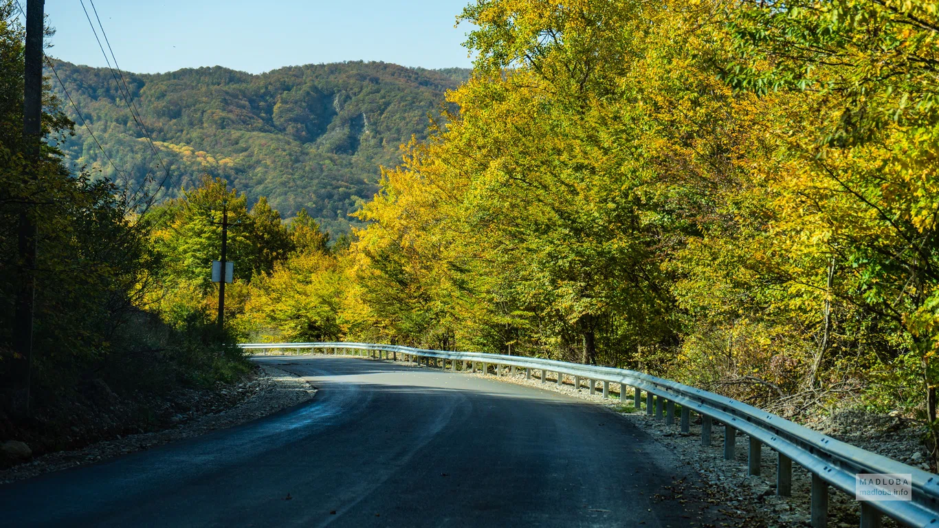 Primetour Georgia