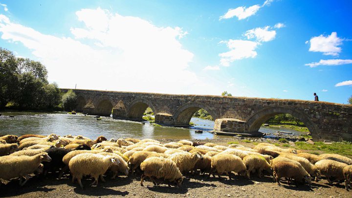 Five-span Tontio Bridge