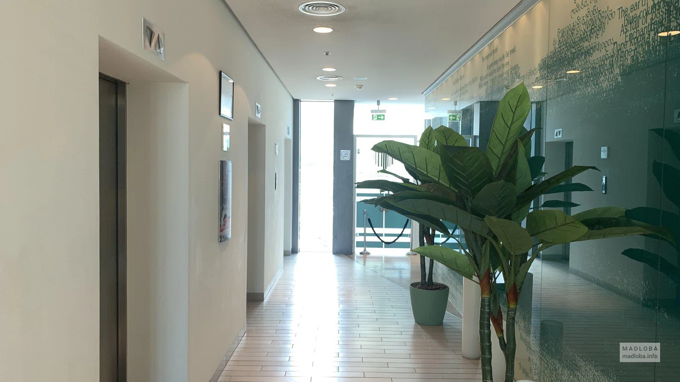 Лифтовой холл в Radisson Blu Iveria Hotel, Tbilisi City Centre