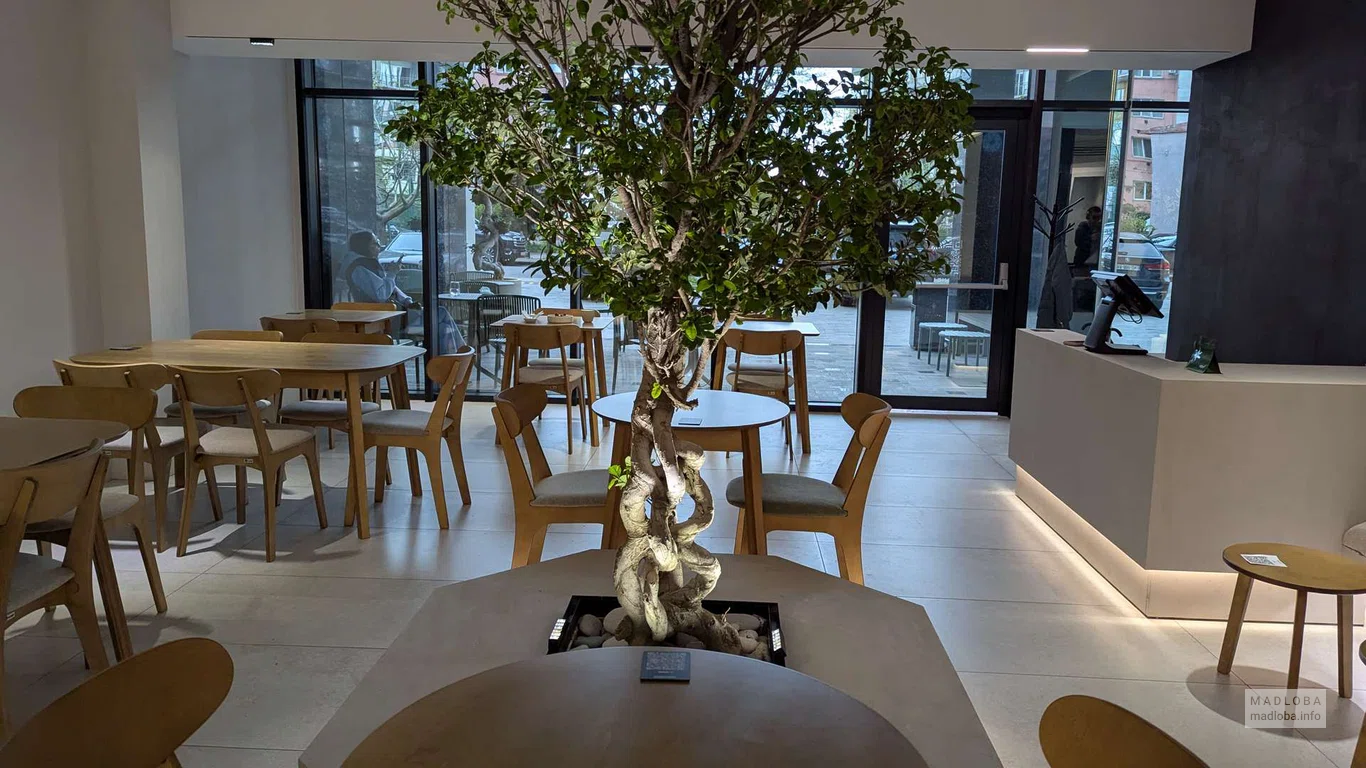 Ravi neo-bistro в Батуми — нео-бистро с авторским меню и вином