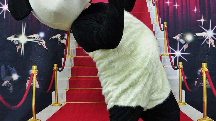 Crazy Panda