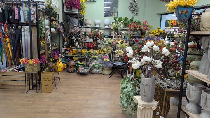 Regalo Gallery (Metro City Moll)