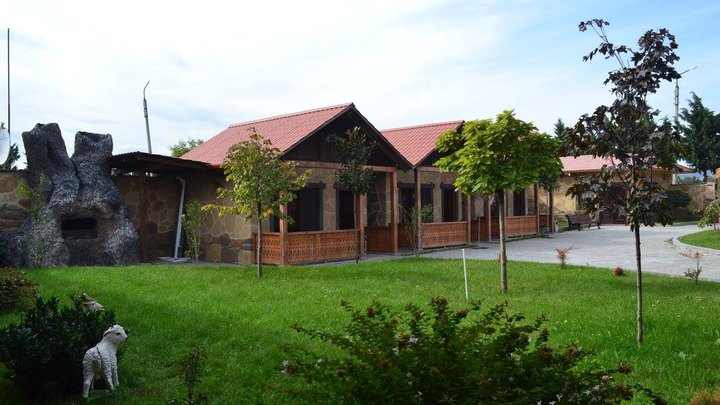 მაგნოლია