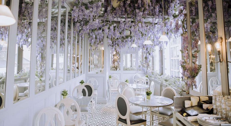 🍷 Top 4 Premium Restaurants in Batumi 2025: Where to Enjoy Luxury and Service