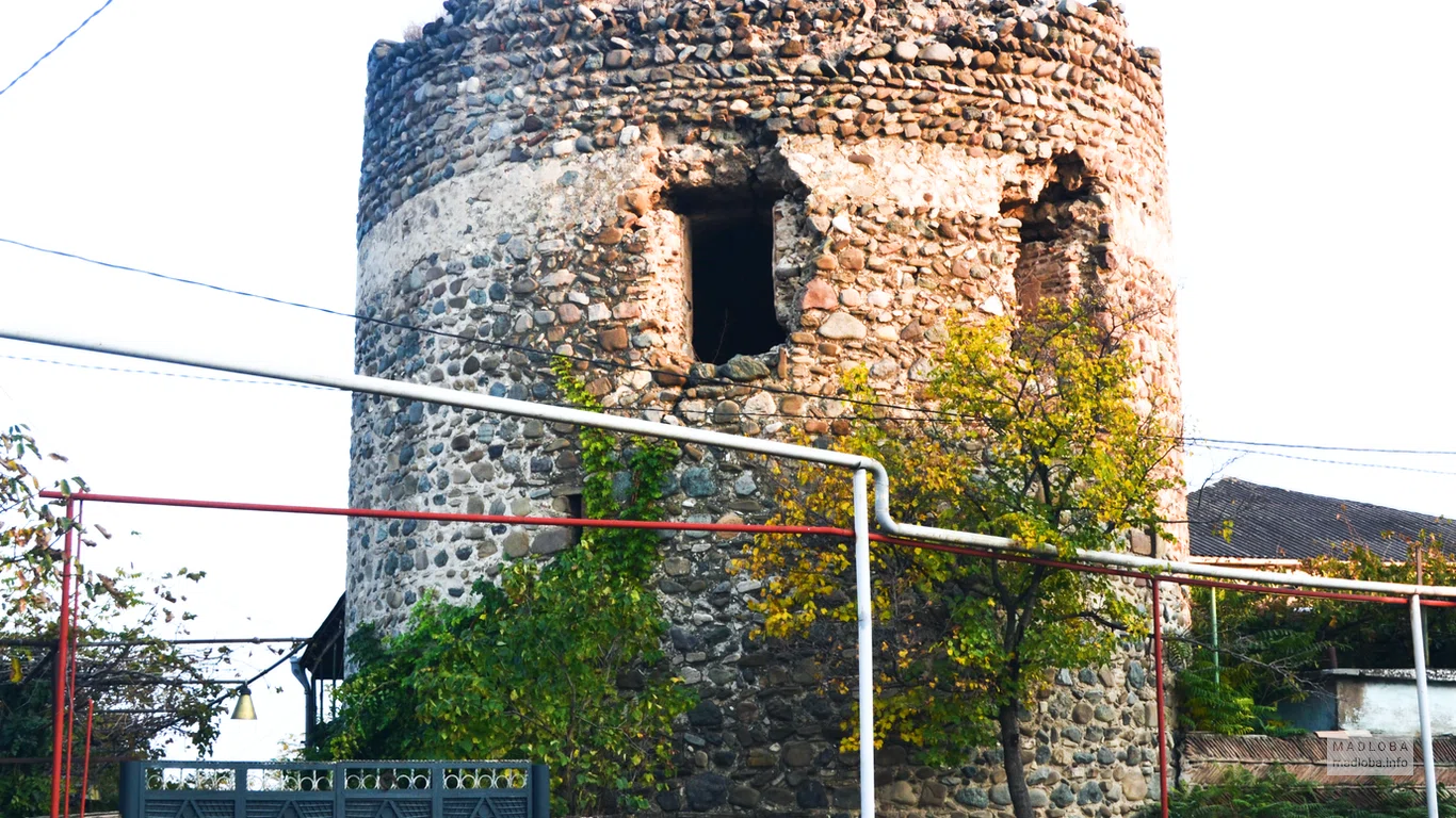 Shervashidze Ancestral Tower in Shida Kartli