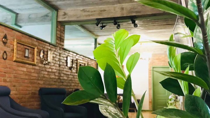 T2&T3 Rooms Levanto
