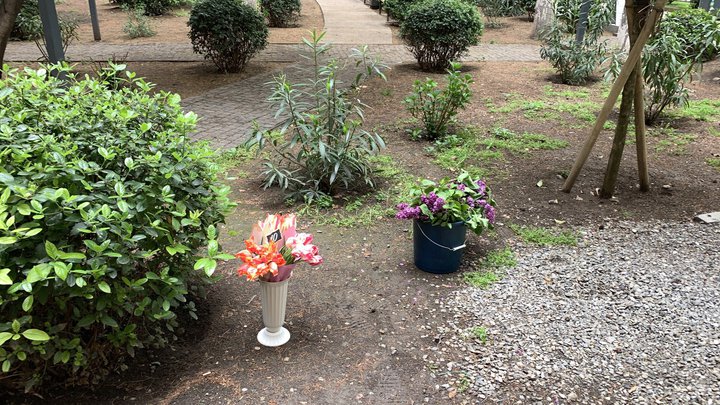 Rosenbloom Flowers & Decor