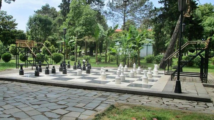 ზრდის ჭადრაკი