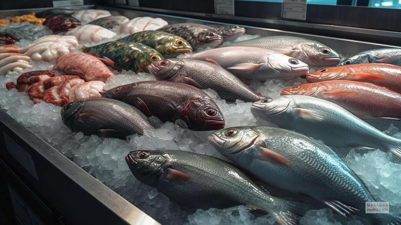 Fish world