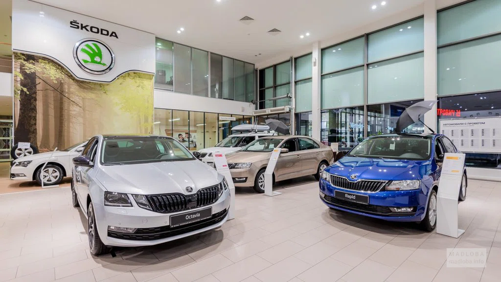 Интерьер автосалона SKODA Грузия