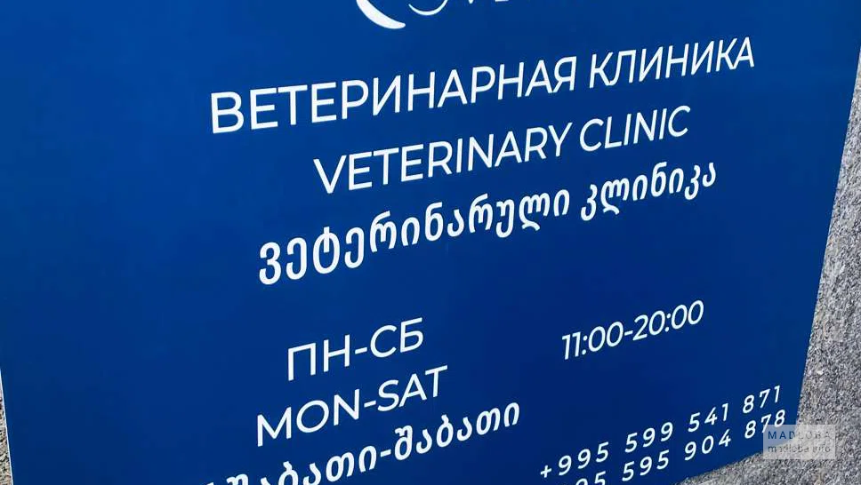 Контактная информация клиники