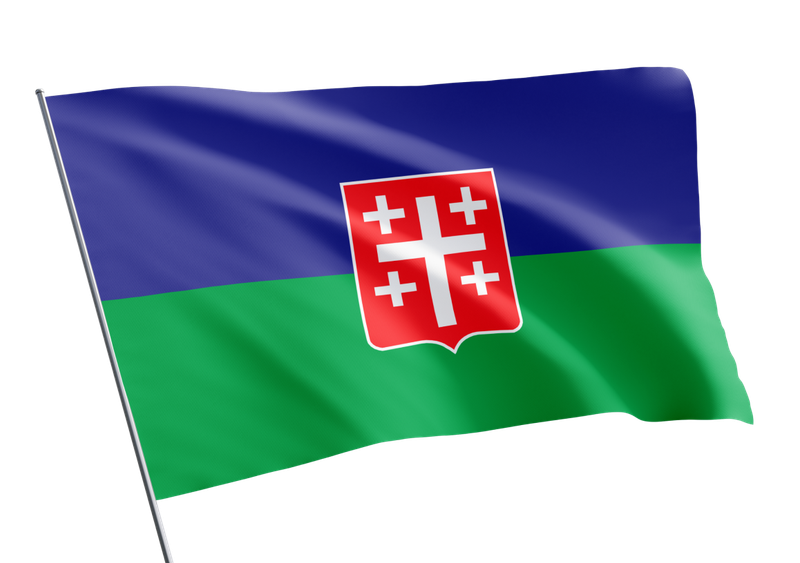 Сачхерский муниципалитет флаг.png