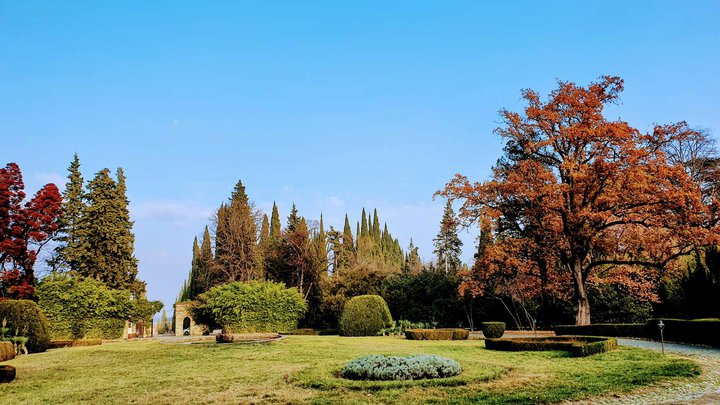 Museum complex in Tsinandali