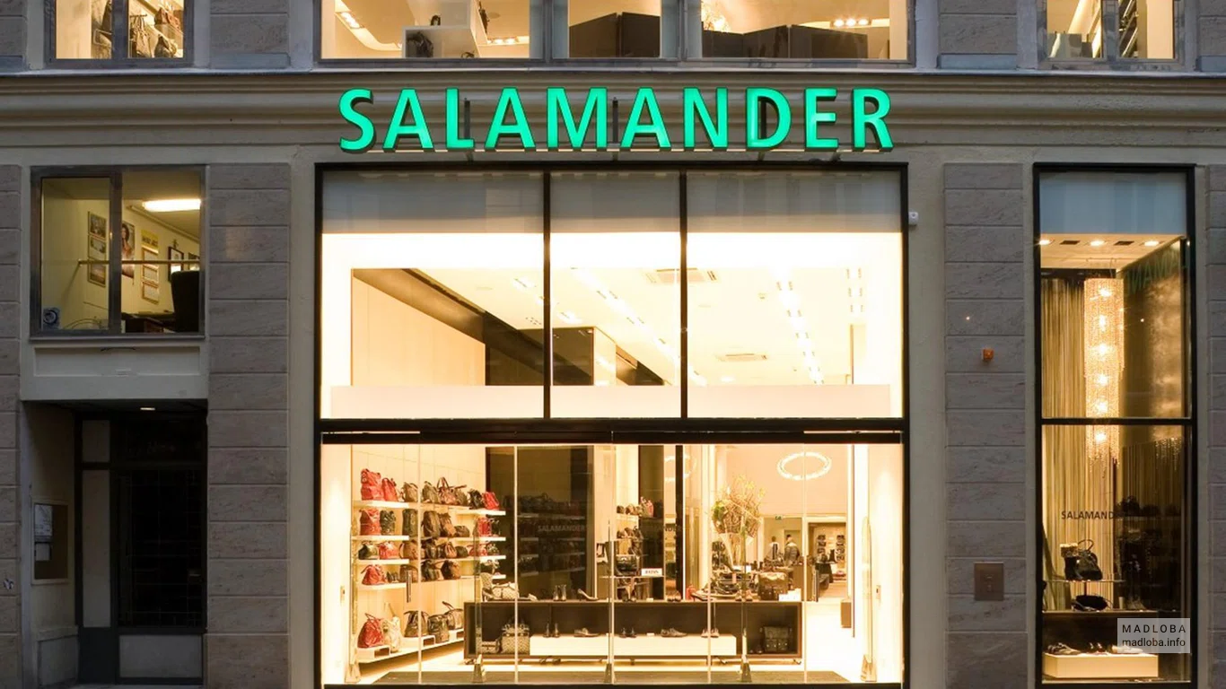 Salamander