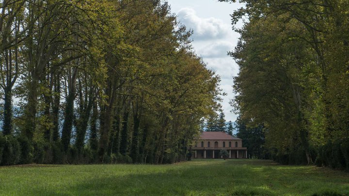 Salkhino Palace, Dadiani's summer residence