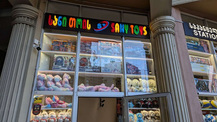 Sany Toys