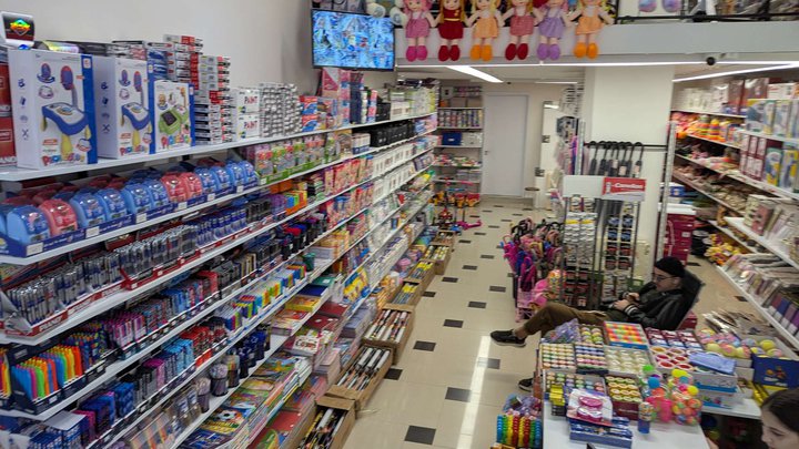 Sany Toys