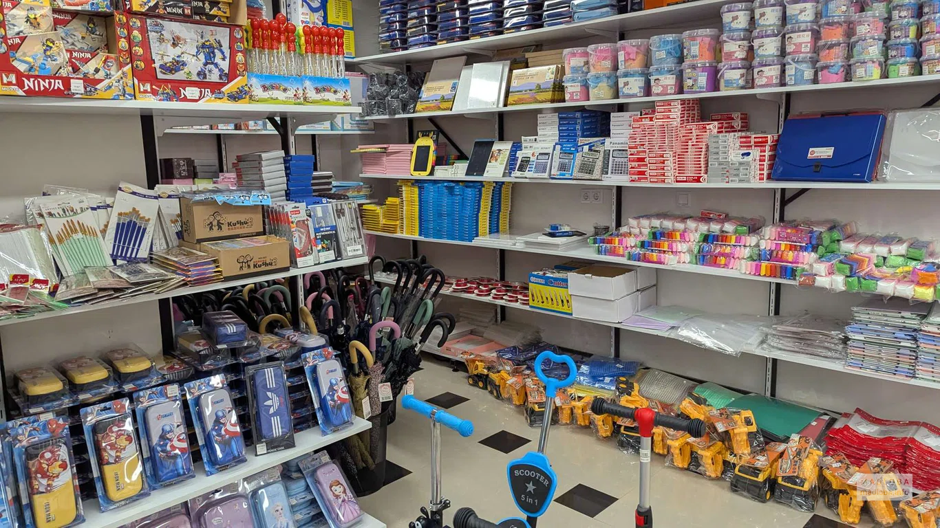 канцтовары в магазине Sany Toys в Батуми