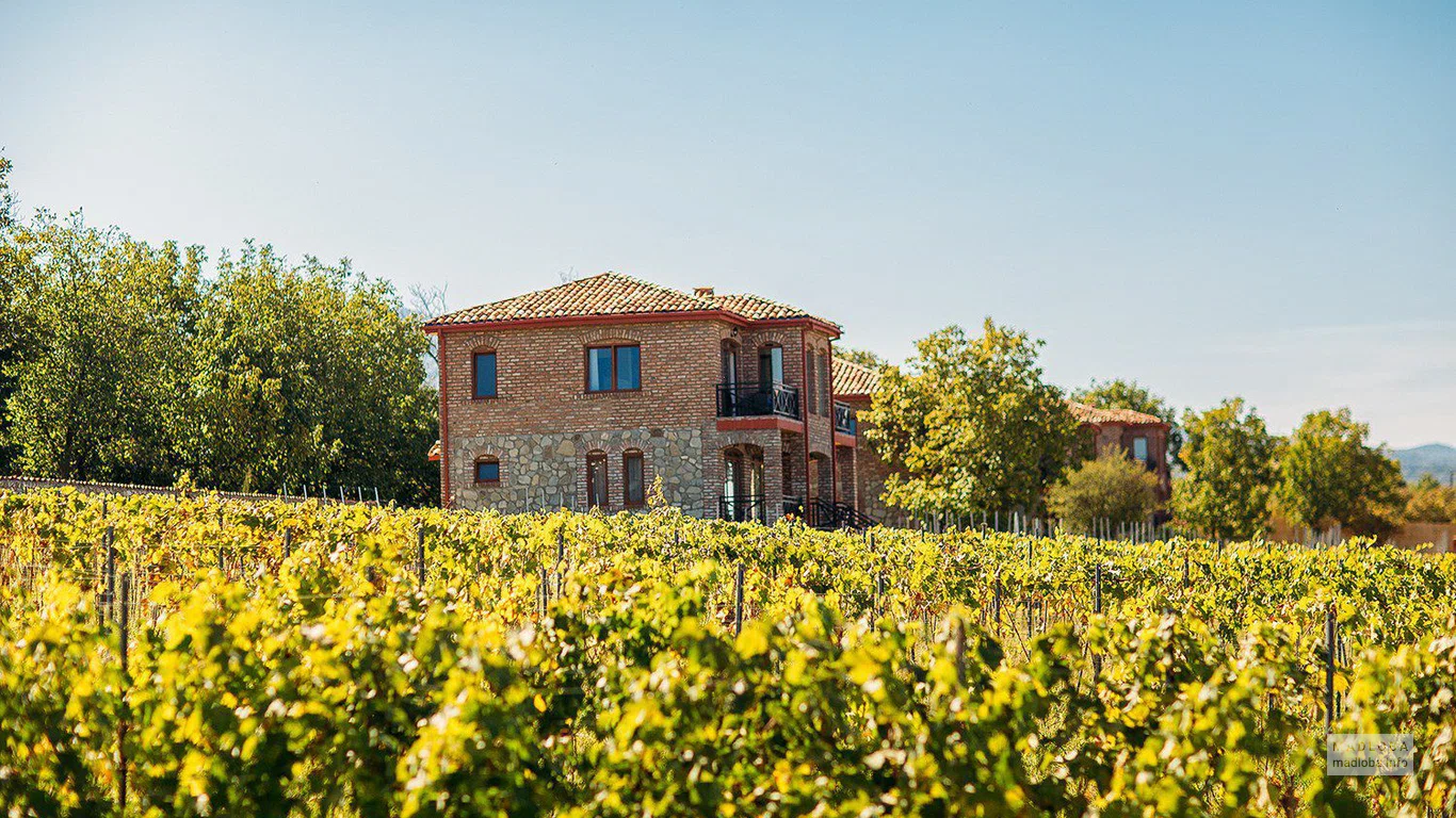 Schuchmann Wines Chateau