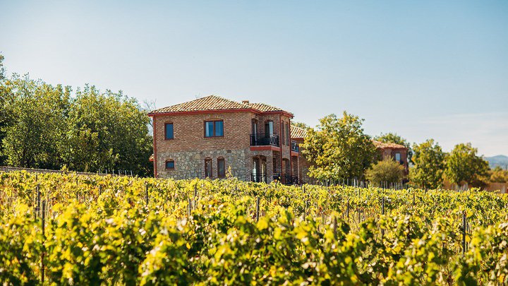 Schuchmann Wines Chateau