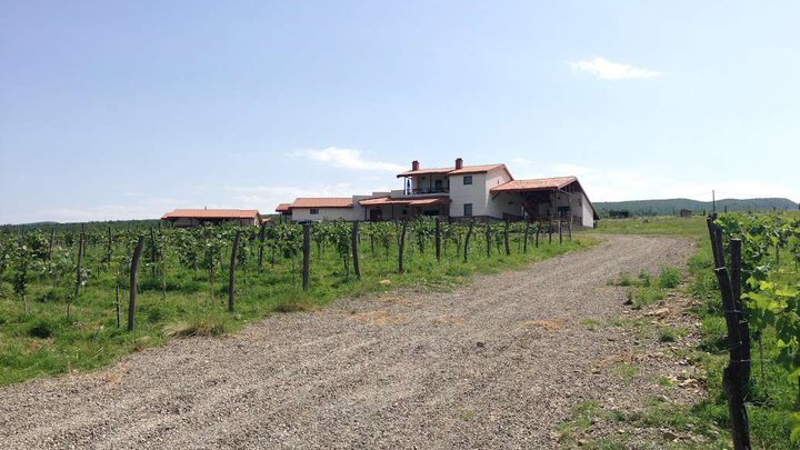 Shalauri Wine Cellar