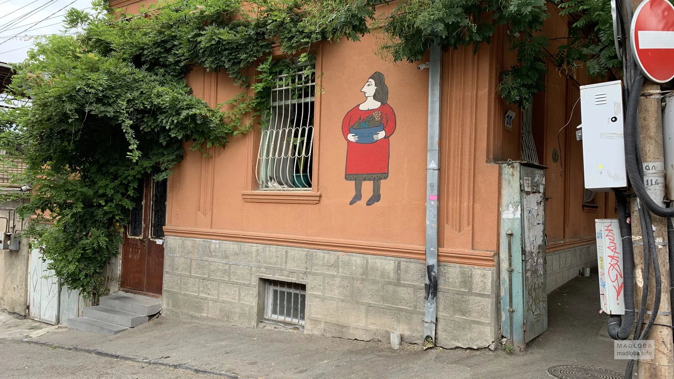 Shavi Lomi