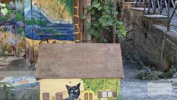 Shiva the Cat