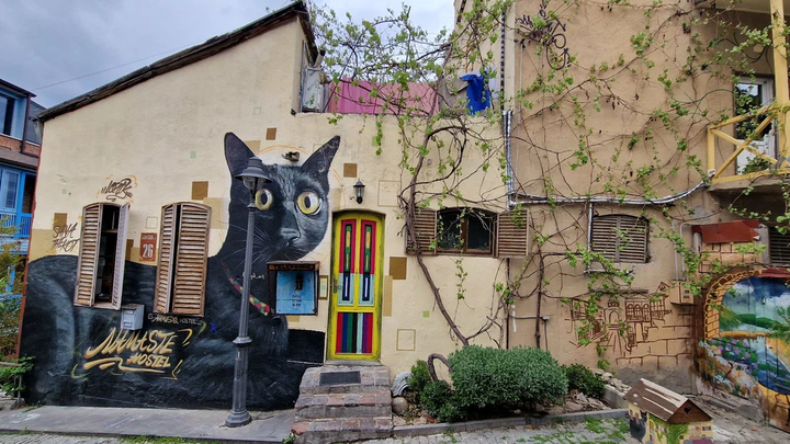 Shiva the Cat