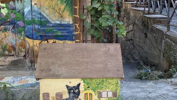 Shiva the Cat
