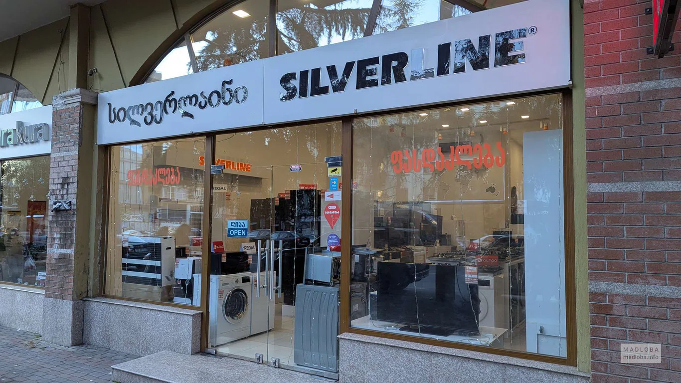 Магазин бытовой техники и электроники "Silverline" в Батуми