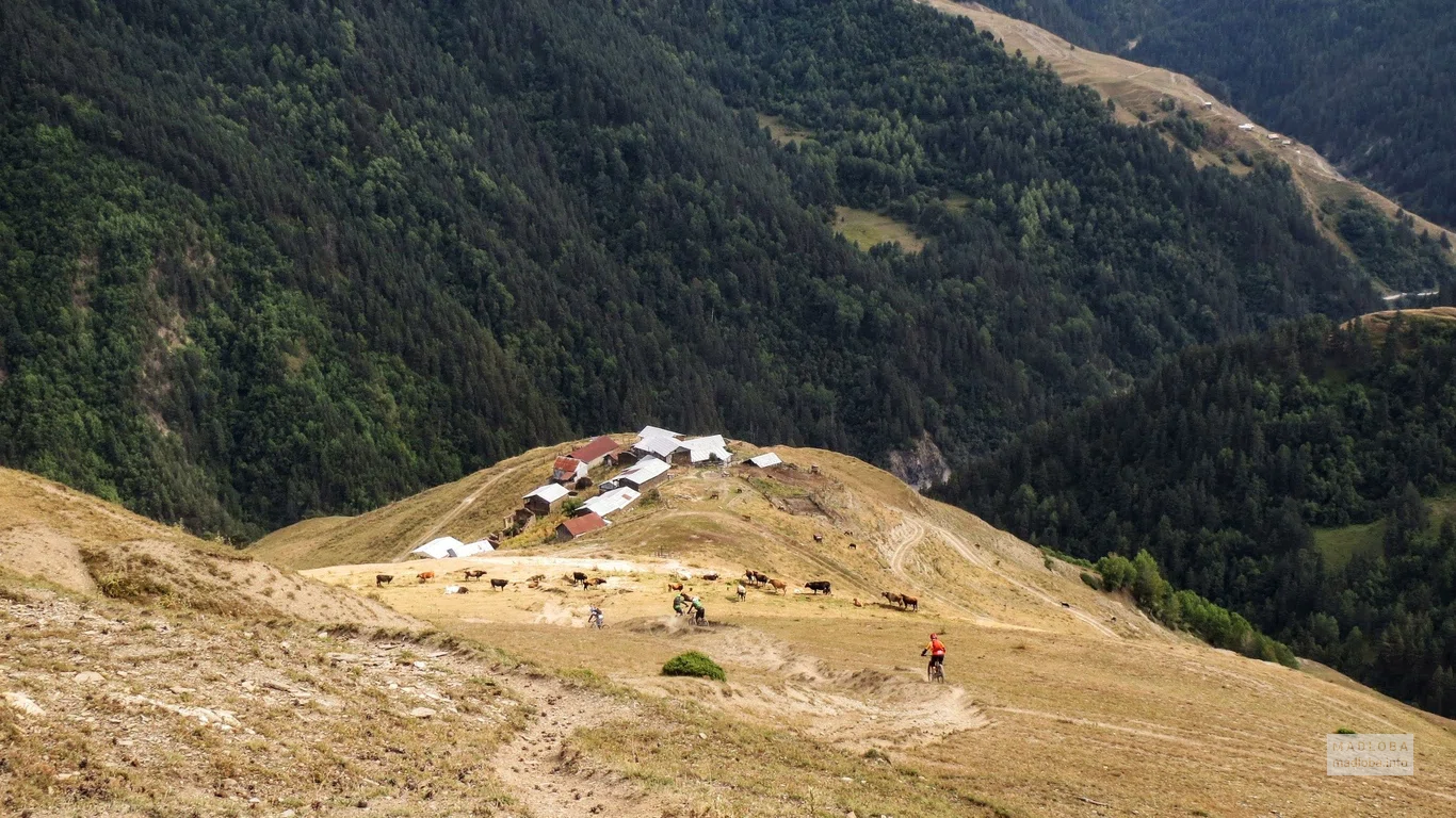 Спуск к селению в горах с компанией Singletrack